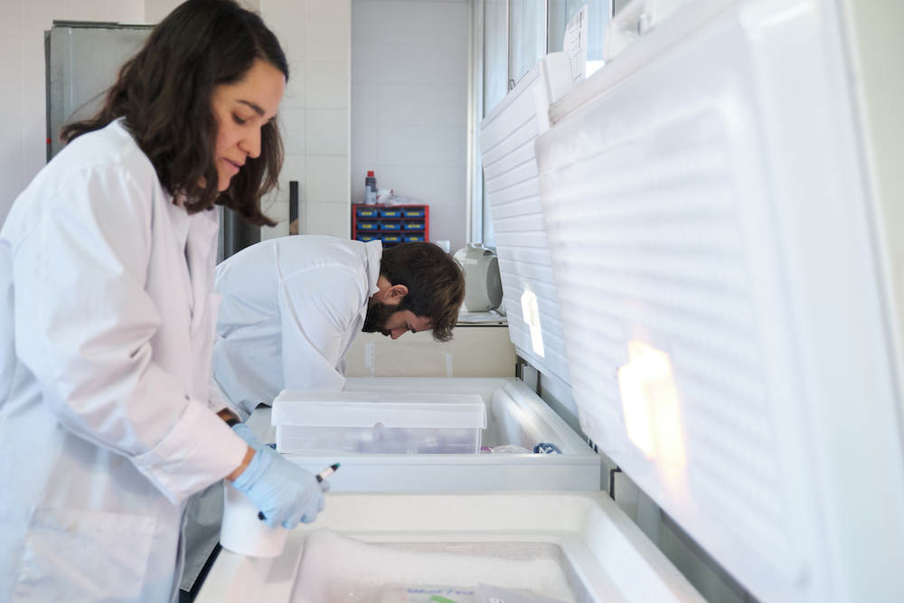 Core facility positions involve basic and advanced technicians who, shown here, access core resources like freezers